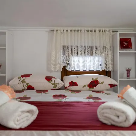 Anna Maria Family House